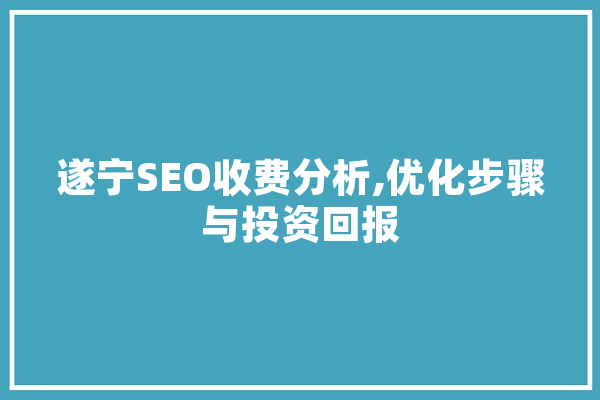 遂宁SEO收费分析,优化步骤与投资回报 文字写作
