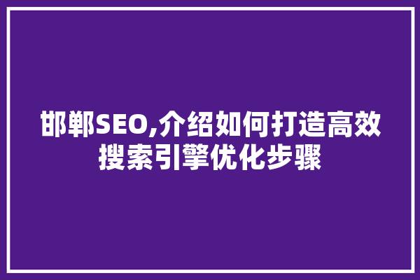 邯郸SEO,介绍如何打造高效搜索引擎优化步骤 计算机