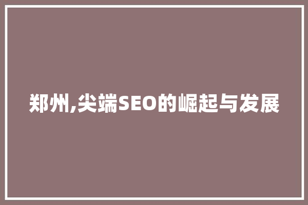 郑州,尖端SEO的崛起与发展