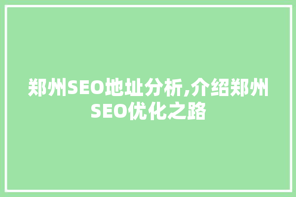 郑州SEO地址分析,介绍郑州SEO优化之路