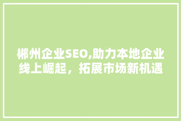 郴州企业SEO,助力本地企业线上崛起，拓展市场新机遇