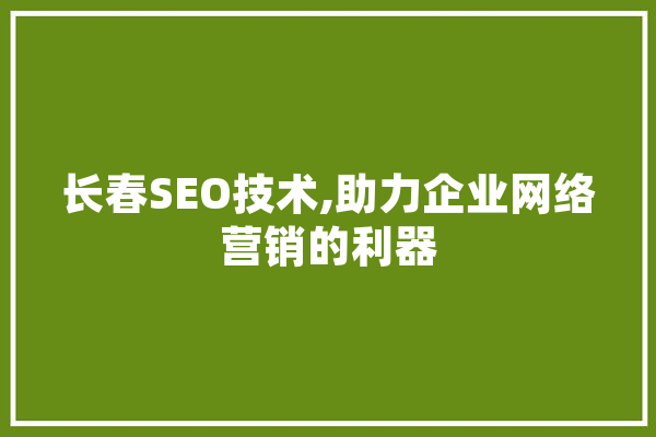 长春SEO技术,助力企业网络营销的利器 智能助手