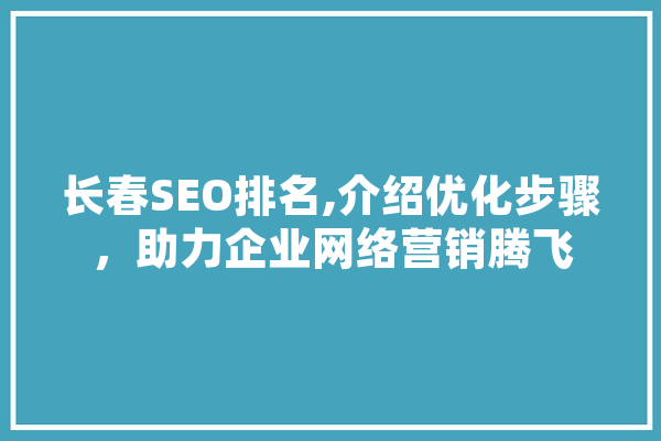 长春SEO排名,介绍优化步骤，助力企业网络营销腾飞 计算机