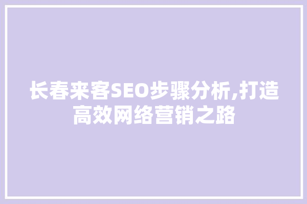 长春来客SEO步骤分析,打造高效网络营销之路