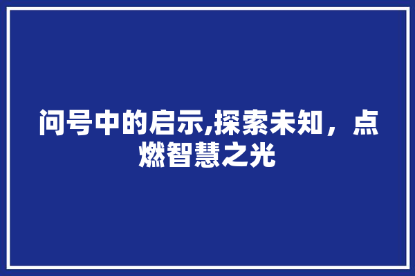 问号中的启示,探索未知，点燃智慧之光