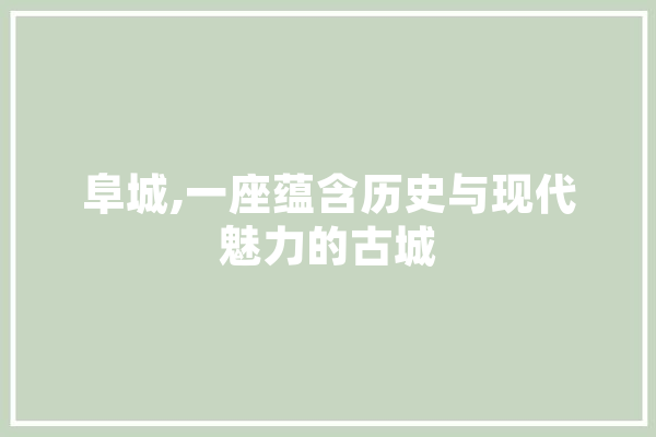 阜城,一座蕴含历史与现代魅力的古城 绘影字幕