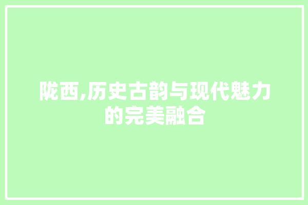 陇西,历史古韵与现代魅力的完美融合 云服务