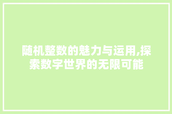 随机整数的魅力与运用,探索数字世界的无限可能