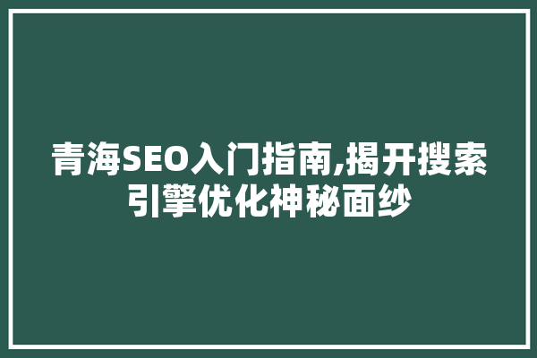 青海SEO入门指南,揭开搜索引擎优化神秘面纱