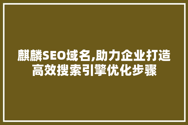 麒麟SEO域名,助力企业打造高效搜索引擎优化步骤