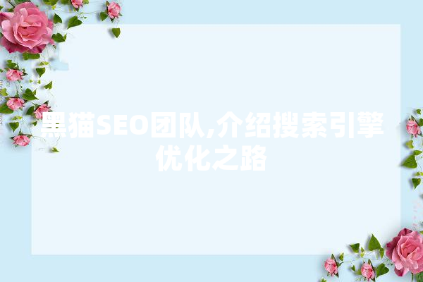 黑猫SEO团队,介绍搜索引擎优化之路 云服务