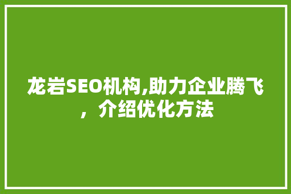 龙岩SEO机构,助力企业腾飞，介绍优化方法