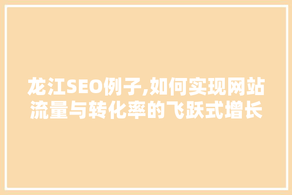 龙江SEO例子,如何实现网站流量与转化率的飞跃式增长 计算机
