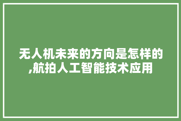 无人机未来的方向是怎样的,航拍人工智能技术应用 AI快讯