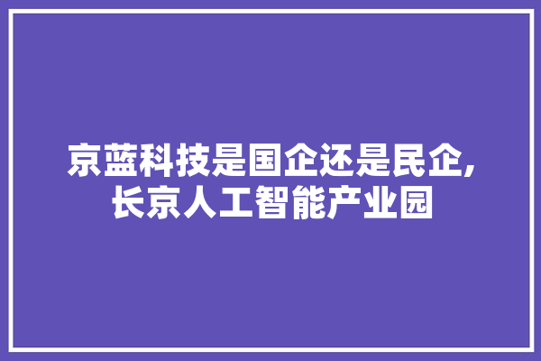 京蓝科技是国企还是民企,长京人工智能产业园