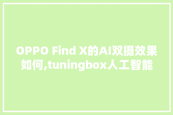 OPPO Find X的AI双摄效果如何,tuningbox人工智能 智能助手