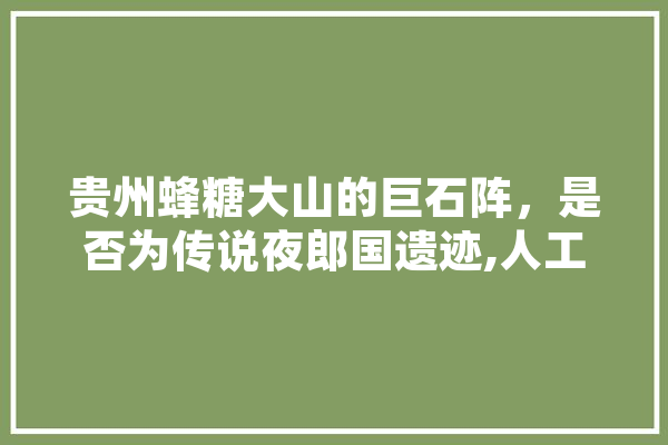 贵州蜂糖大山的巨石阵，是否为传说夜郎国遗迹,人工智能技术壁垒 绘影字幕