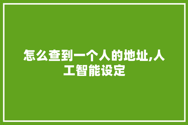 怎么查到一个人的地址,人工智能设定 智能助手