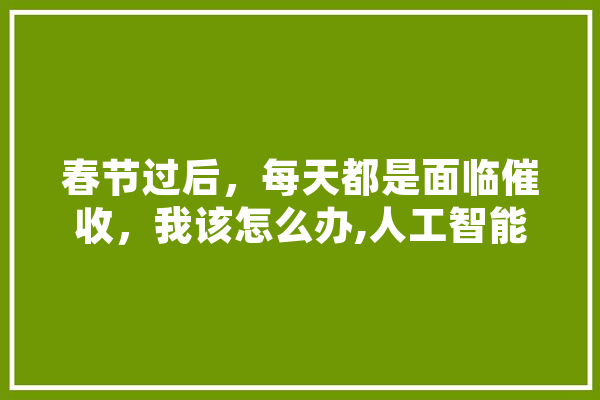 春节过后，每天都是面临催收，我该怎么办,人工智能签署合作协议