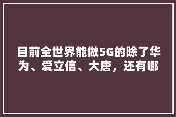 目前全世界能做5G的除了华为、爱立信、大唐，还有哪些公司,人工智能 信创 智能助手