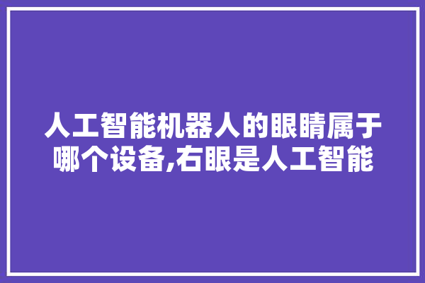 人工智能机器人的眼睛属于哪个设备,右眼是人工智能