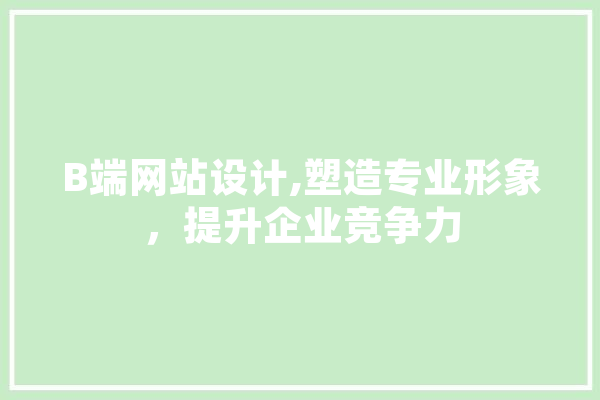 B端网站设计,塑造专业形象，提升企业竞争力 云服务
