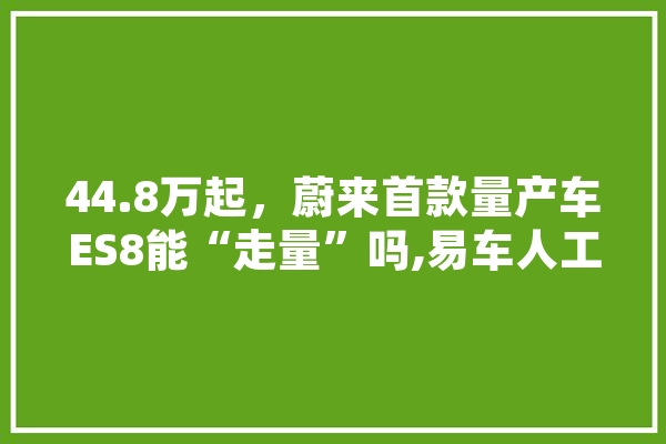 44.8万起，蔚来首款量产车ES8能“走量”吗,易车人工智能怎么样