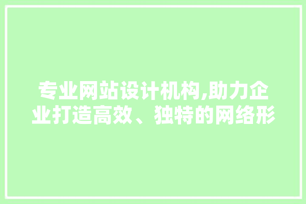 专业网站设计机构,助力企业打造高效、独特的网络形象
