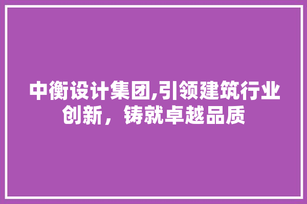 中衡设计集团,引领建筑行业创新，铸就卓越品质 计算机
