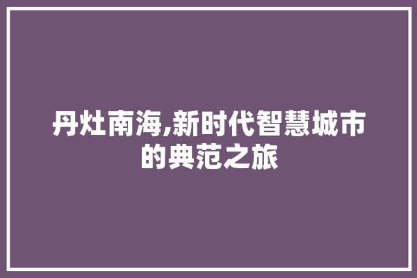 丹灶南海,新时代智慧城市的典范之旅