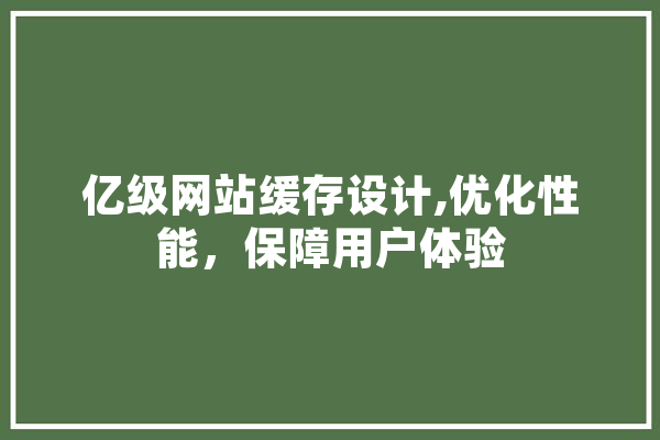 亿级网站缓存设计,优化性能，保障用户体验