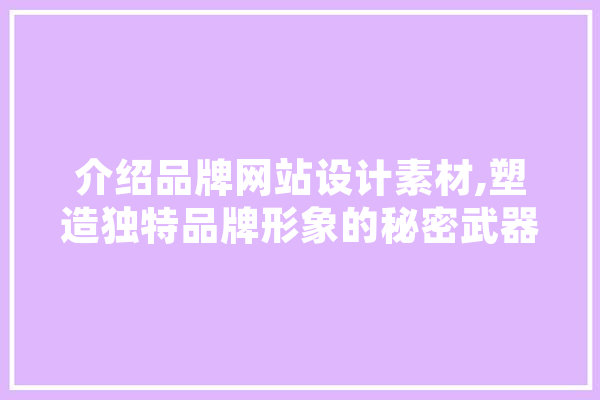 介绍品牌网站设计素材,塑造独特品牌形象的秘密武器 计算机