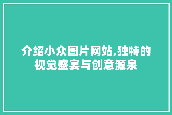 介绍小众图片网站,独特的视觉盛宴与创意源泉