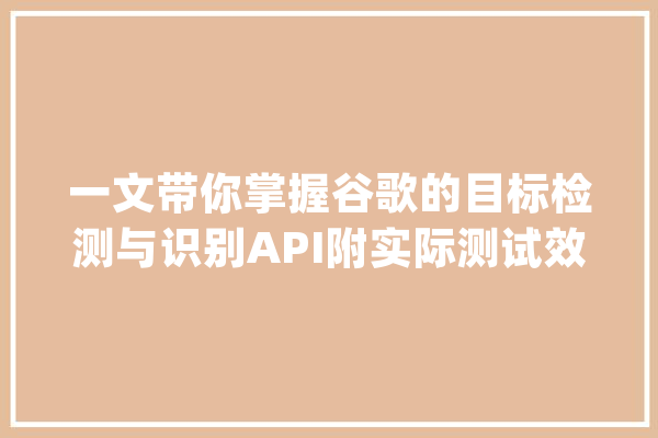 一文带你掌握谷歌的目标检测与识别API附实际测试效果_模子_物体 云服务