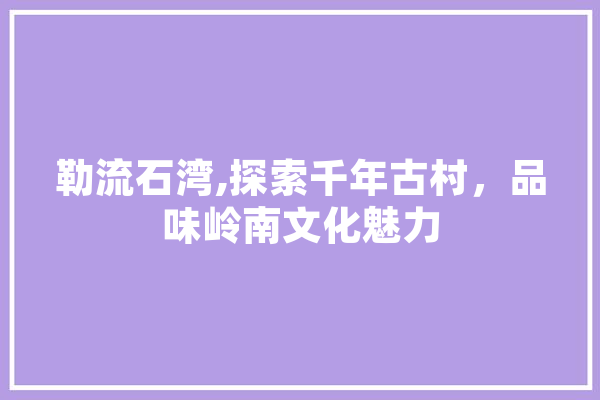 勒流石湾,探索千年古村，品味岭南文化魅力 计算机