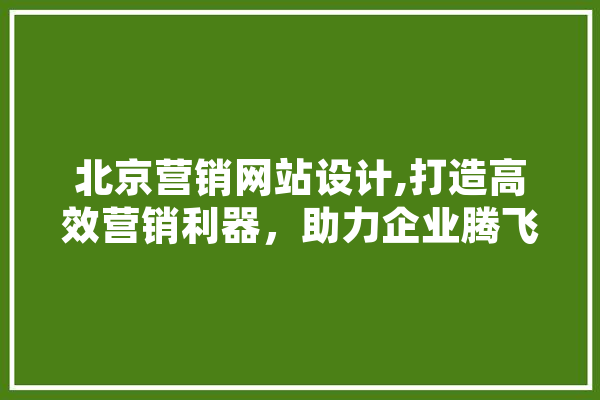 北京营销网站设计,打造高效营销利器，助力企业腾飞 AI快讯