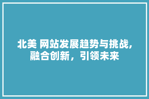 北美 网站发展趋势与挑战,融合创新，引领未来