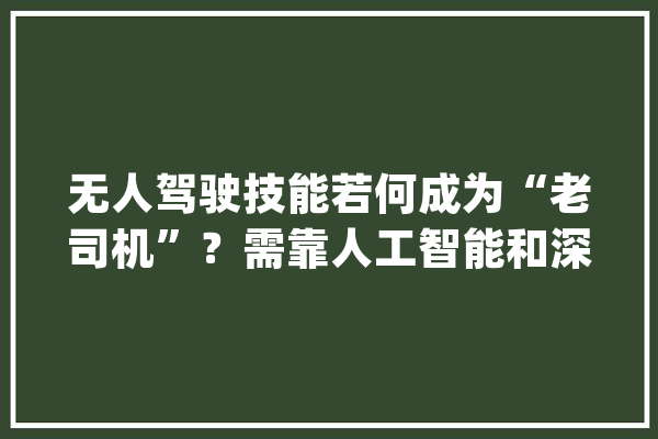无人驾驶技能若何成为“老司机”？需靠人工智能和深度进修算法_无人驾驶_司机 AI简讯