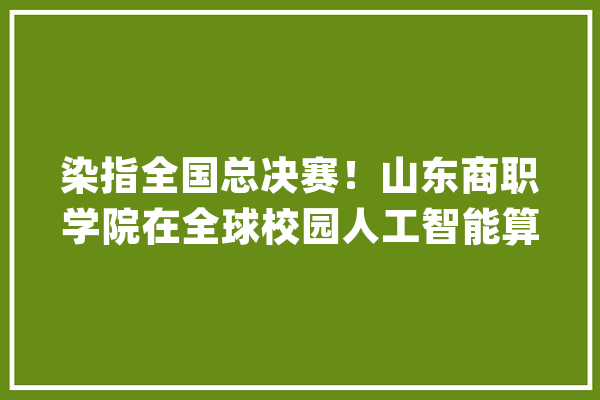 染指全国总决赛！山东商职学院在全球校园人工智能算法精英大年夜赛中获佳绩_人工智能_技巧 绘影字幕