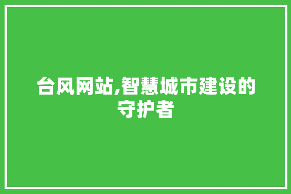 台风网站,智慧城市建设的守护者 计算机