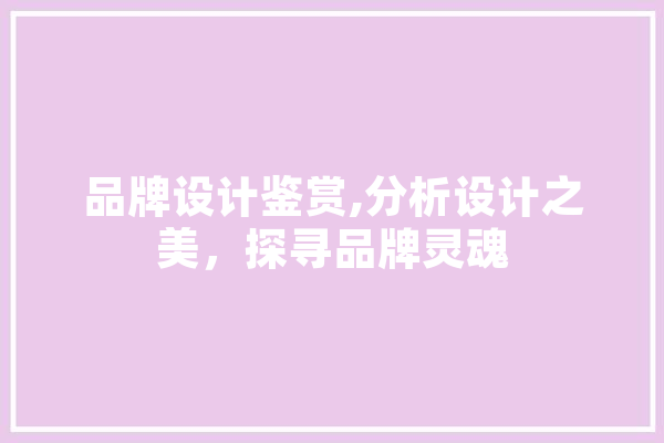 品牌设计鉴赏,分析设计之美，探寻品牌灵魂