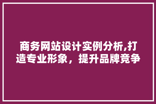 商务网站设计实例分析,打造专业形象，提升品牌竞争力 智能助手