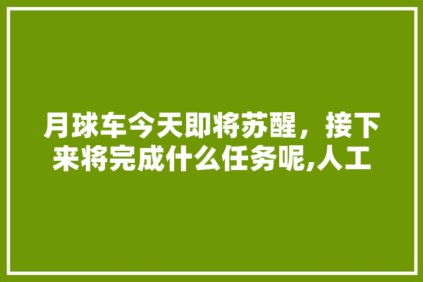 月球车今天即将苏醒，接下来将完成什么任务呢,人工智能ai兔子牙 智能写作