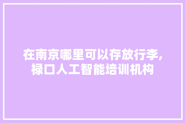 在南京哪里可以存放行李,禄口人工智能培训机构