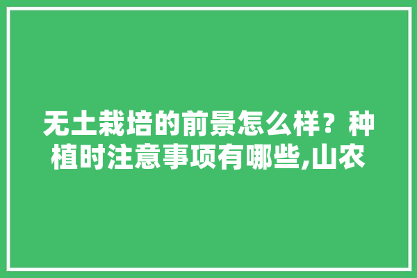 无土栽培的前景怎么样？种植时注意事项有哪些,山农人工智能专业 智能写作