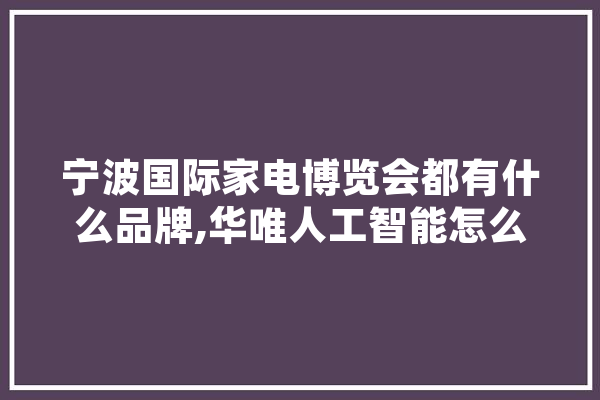 宁波国际家电博览会都有什么品牌,华唯人工智能怎么样