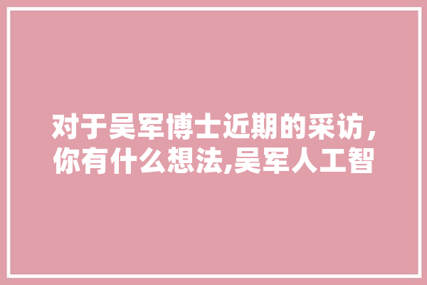 对于吴军博士近期的采访，你有什么想法,吴军人工智能专家