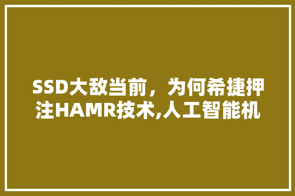SSD大敌当前，为何希捷押注HAMR技术,人工智能机器