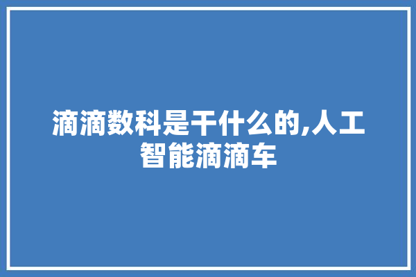 滴滴数科是干什么的,人工智能滴滴车
