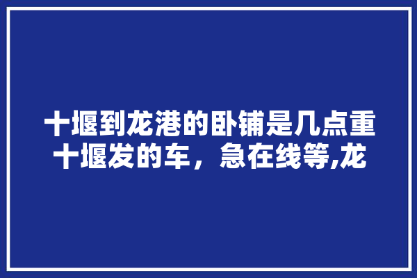十堰到龙港的卧铺是几点重十堰发的车，急在线等,龙港人工智能设备电子产品店